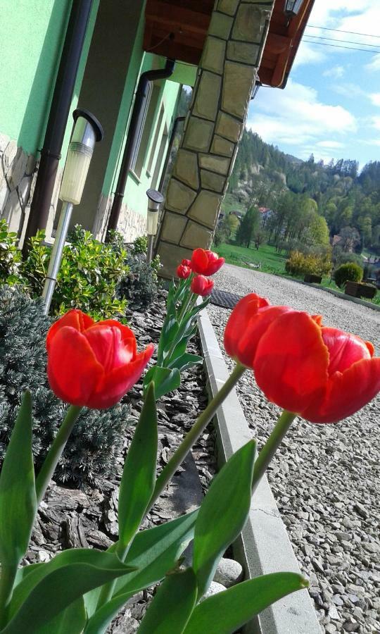 Zielone Zacisze Hotel Krościenko Buitenkant foto